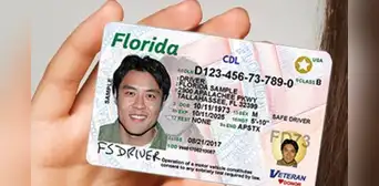 Licencia de conducir en Florida: estas son las 3 formas de renovar rápidamente tu documento en Estados Unidos