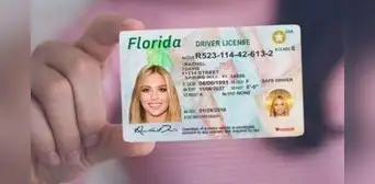 Licencia de conducir en Florida: conoce los días que no podrás tramitar tu documento por cierre de oficinas