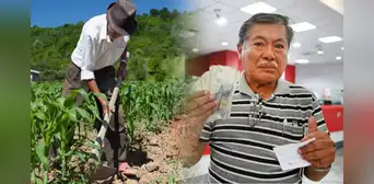 El Estado brinda desde S/400 hasta S/800 si eres agricultor: ¿en qué consiste el seguro y cómo activarlo? El Estado brinda desde S/400 hasta S/800 si eres agricultor: ¿en qué consiste el seguro y cómo activarlo?