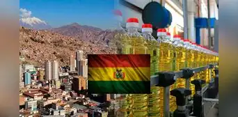 Bolivia suspende medida que prohibía vender aceite comestible: decisión provocó pérdida de 50 millones de dólares Bolivia suspende medida que prohibía vender aceite comestible: decisión provocó pérdida de 50 millones de dólares
