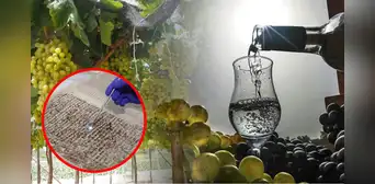 Estos son los documentos entregados a la Unesco que ratifican el origen del pisco peruano: el más antiguo es de 1587
