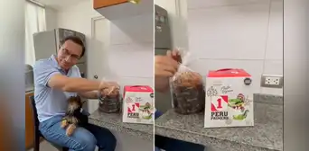 Martín Vizcarra se volvió tendencia en TikTok al presentar su nuevo panetón con curioso nombre: 'El Lagarto'