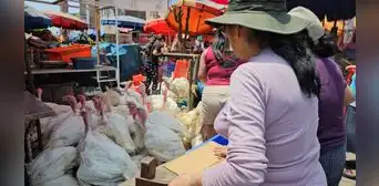 Precio del pavo por Navidad hoy: ¿cuánto cuesta en mercados de Lima Metropolitana? Precio del pavo por Navidad hoy: ¿cuánto cuesta en mercados de Lima Metropolitana?
