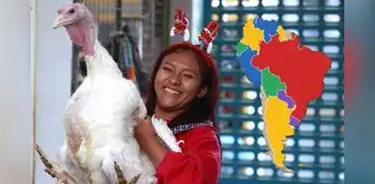 Este país de Sudamérica lidera la compra de pavo en Perú: tuvo una demanda de más de 2 millones de dólares
