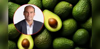 Nuevo presidente de ProHass resalta el impacto de la palta peruana a nivel mundial: "Se ha convertido en un jugador muy importante"