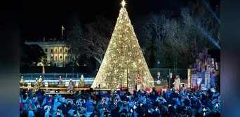 Las 5 ciudades de Estados Unidos donde celebran menos la Navidad y con ambiente poco festivo Las 5 ciudades de Estados Unidos donde celebran menos la Navidad y con ambiente poco festivo