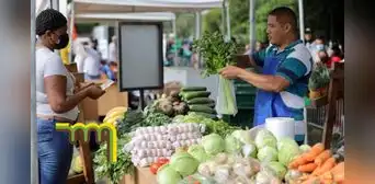 Vuelven las Agroferias del IMA a Panamá: calendario, lugares y horarios para comprar alimentos a bajo precio Vuelven las Agroferias del IMA a Panamá: calendario, lugares y horarios para comprar alimentos a bajo precio