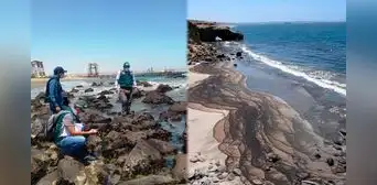 Emergencia ambiental en Talara: Gobierno dispone 90 días para mitigar daños por derrame de petróleo Emergencia ambiental en Talara: Gobierno dispone 90 días para mitigar daños por derrame de petróleo