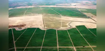 El país de América Latina que recibirá US$655 millones de China para transformar desiertos en zonas agrícolas El país de América Latina que recibirá US$655 millones de China para transformar desiertos en zonas agrícolas