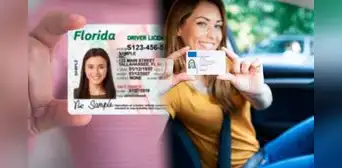 Atención, inmigrantes en Florida: estos son los pasos para tramitar el Real ID con una Green Card vencida en USA 2025