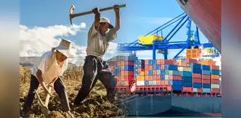 Esta es la fruta que Perú envía por primera vez en barcos de 200 contenedores rumbo a Estados Unidos