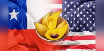 El superalimento peruano que triunfa en los mercados de Chile y EE. UU.: es clave para controlar el azúcar y el estrés El superalimento peruano que triunfa en los mercados de Chile y EE. UU.: es clave para controlar el azúcar y el estrés