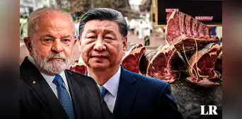 Brasil asegura que "tomará nota" y defenderá sus intereses tras investigación de China por exceso de importaciones de carne Brasil asegura que "tomará nota" y defenderá sus intereses tras investigación de China por exceso de importaciones de carne
