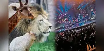 Municipalidad de Lima pretende construir la 'Arena 1' en terreno del Parque de las Leyendas para conciertos masivos