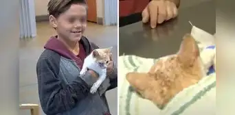 Niño conmueve al cambiar su patineta por salvar a un gatito maltratado: "No podía dejarlo sufrir" Niño conmueve al cambiar su patineta por salvar a un gatito maltratado: "No podía dejarlo sufrir"