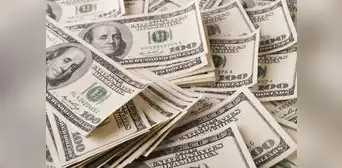 ¡No lo olvides, coleccionista de monedas en USA! los 3 errores por los que puedes perder millones de dólares ¡No lo olvides, coleccionista de monedas en USA! los 3 errores por los que puedes perder millones de dólares