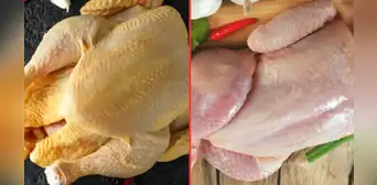 ¿Cuál es mejor para la comida? Pollo amarillo vs. blanco, las características que probablemente desconocías
