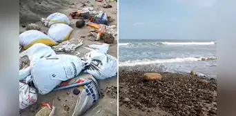 La playa de Máncora que quedó destruida por fuertes oleajes anómalos: "Ahora solo hay piedras"