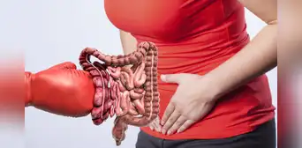 ¿Problemas con el colon?: esta es la fruta que podría ayudarte a limpiarlo de forma natural, según estudio ¿Problemas con el colon?: esta es la fruta que podría ayudarte a limpiarlo de forma natural, según estudio