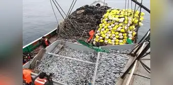 Produce aprueba reducción del 80% de multas administrativas en pesca y acuicultura Produce aprueba reducción del 80% de multas administrativas en pesca y acuicultura