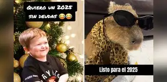 Feliz Año Nuevo: los mejores memes para compartir en WhatsApp y dar la bienvenida al 2025 Feliz Año Nuevo: los mejores memes para compartir en WhatsApp y dar la bienvenida al 2025