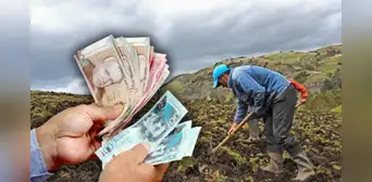 Midagri entrega desde S/400 hasta S/800 para agricultores en Perú: requisitos y cómo acceder en 2025 Midagri entrega desde S/400 hasta S/800 para agricultores en Perú: requisitos y cómo acceder en 2025