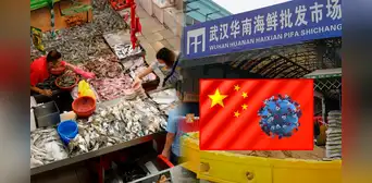 Científicos confirman el mercado de China como el origen de la COVID-19: nuevo estudio revela que se originó por fauna silvestre Científicos confirman el mercado de China como el origen de la COVID-19: nuevo estudio revela que se originó por fauna silvestre