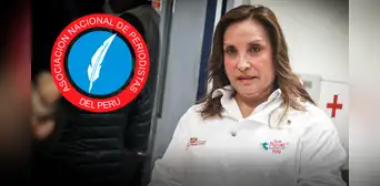 ANP registra 392 casos de ataques contra la prensa y la libertad de expresión en el 2024: el más alto del siglo XXI ANP registra 392 casos de ataques contra la prensa y la libertad de expresión en el 2024: el más alto del siglo XXI