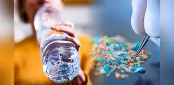 Científicos de Estados Unidos descubren más 250.000 partículas de nanoplástico en una botella de agua Científicos de Estados Unidos descubren más 250.000 partículas de nanoplástico en una botella de agua