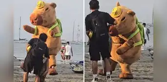 Captan a capibara ‘chocolatero’ en playa de Ancón y usuarios bromean: “Ronsoco bailarín”