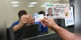 Real ID Florida: los 5 errores que no debes cometer al momento de solicitar la identificación Real ID Florida: los 5 errores que no debes cometer al momento de solicitar la identificación