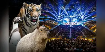 ‘Arena de Lima’ afectaría tranquilidad de animales del Parque de las Leyendas