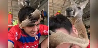 Influencer se acerca a un canguro para un masaje y resultado es viral: “Mataleón incluido” Influencer se acerca a un canguro para un masaje y resultado es viral: “Mataleón incluido”