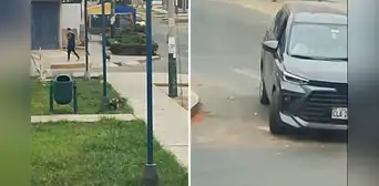 Santa Anita: conductores abandonan perrito en la calle al bajarlo de auto para que orine Santa Anita: conductores abandonan perrito en la calle al bajarlo de auto para que orine
