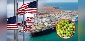 Desde este puerto peruano se embarcó más de 4.500 toneladas de uva hacia EE.UU: fortalecerá el comercio, indica MTC Desde este puerto peruano se embarcó más de 4.500 toneladas de uva hacia EE.UU: fortalecerá el comercio, indica MTC