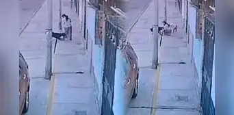 Rottweiler ataca a madre con su hija en plena vía pública en Arequipa: cuatro incidentes reportados en menos de un mes
