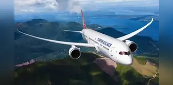 Esta es la aerolínea que va de América Latina a Turquía: recorre más países del mundo y ganó un récord Guinness Esta es la aerolínea que va de América Latina a Turquía: recorre más países del mundo y ganó un récord Guinness