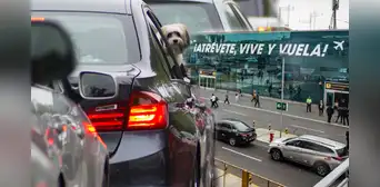 Nuevo Aeropuerto Jorge Chávez: guía completa sobre las rutas de transporte, taxis y vehículos Nuevo Aeropuerto Jorge Chávez: guía completa sobre las rutas de transporte, taxis y vehículos