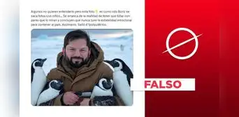 Gabriel Boric no posó con unos pingüinos durante su reciente visita al Polo Sur