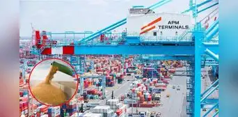El puerto de Perú que tendrá un moderno terminal para descargar granos de Sudamérica: tiene más del 55% de avance y no es Chancay