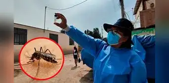 Alerta en Lima: detectan presencia del peligroso serotipo 3 del dengue en varios sectores