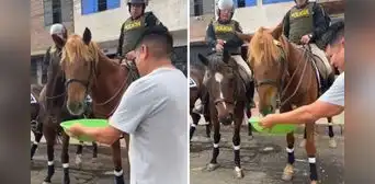 Peruano sorprende al dar de beber agua a caballos de la PNP y usuarios lo felicitan: "Acción ejemplar"