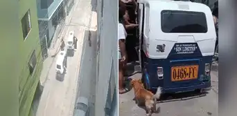 Balacera en San Juan de Miraflores: sicarios asesinan a dos personas y dejan 2 heridos por presunto ajuste de cuentas