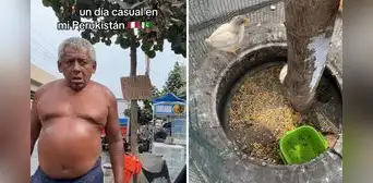Joven queda sorprendido al ver que ciudadanos crían pollos en la vereda: “Solo en Perú”