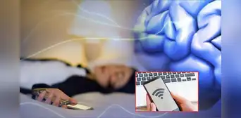 Expertos revelan que las ondas de los celulares y las redes Wi-Fi causan daños irreversibles en humanos y animales