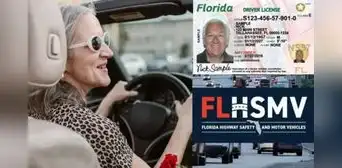 Licencia de conducir en Florida: FLHSMV no exigirá examen teórico a estas personas en Estados Unidos Licencia de conducir en Florida: FLHSMV no exigirá examen teórico a estas personas en Estados Unidos