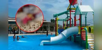 Clausuran club Yaku Park en Comas por condiciones insalubres: toboganes con óxido y moho en restaurante