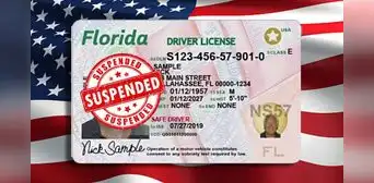 Licencia de conducir en Florida 2025: grupo de conductores que perderían su permiso, según el FLHSMV en EE. UU. Licencia de conducir en Florida 2025: grupo de conductores que perderían su permiso, según el FLHSMV en EE. UU.