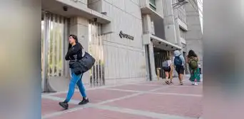 Sunat: todo lo que debes saber de la declaración de renta 2024