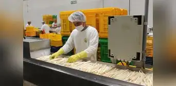 Empleo en exportaciones creció 16%: más de medio millón de puestos de trabajo